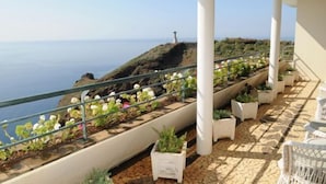 Ein Balkon mit Topfpflanzen und Meerblick.
