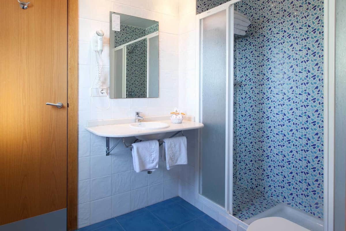 shower, free toiletries, hair dryer, towels