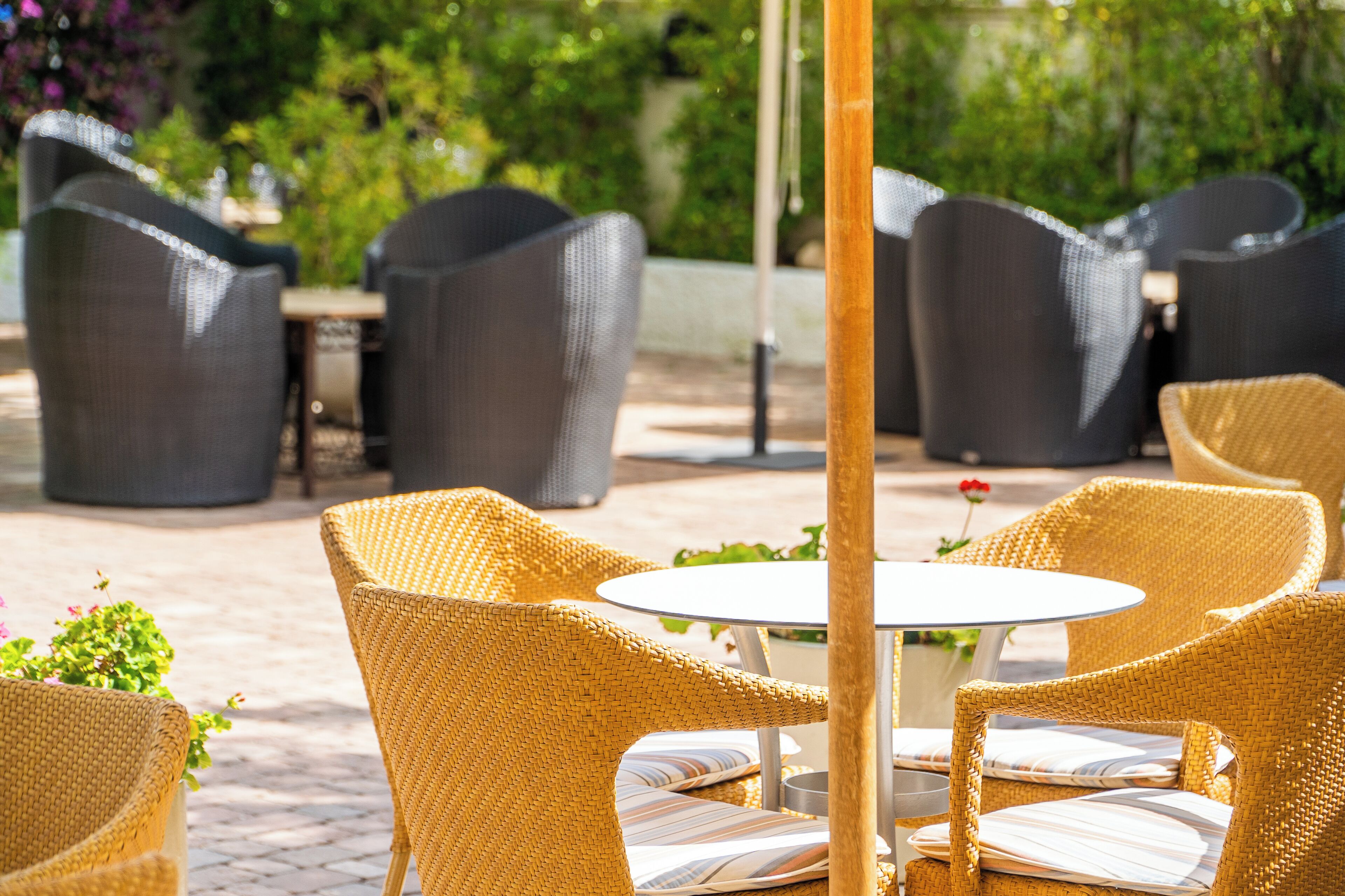 Photo - Hotel Bersoca