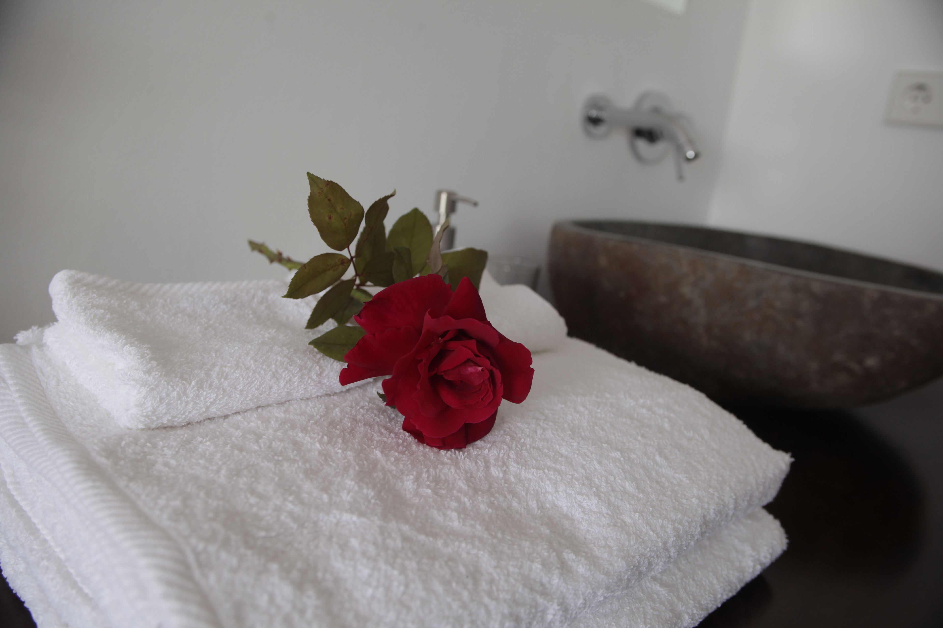 panoramic double room | bathroom sink