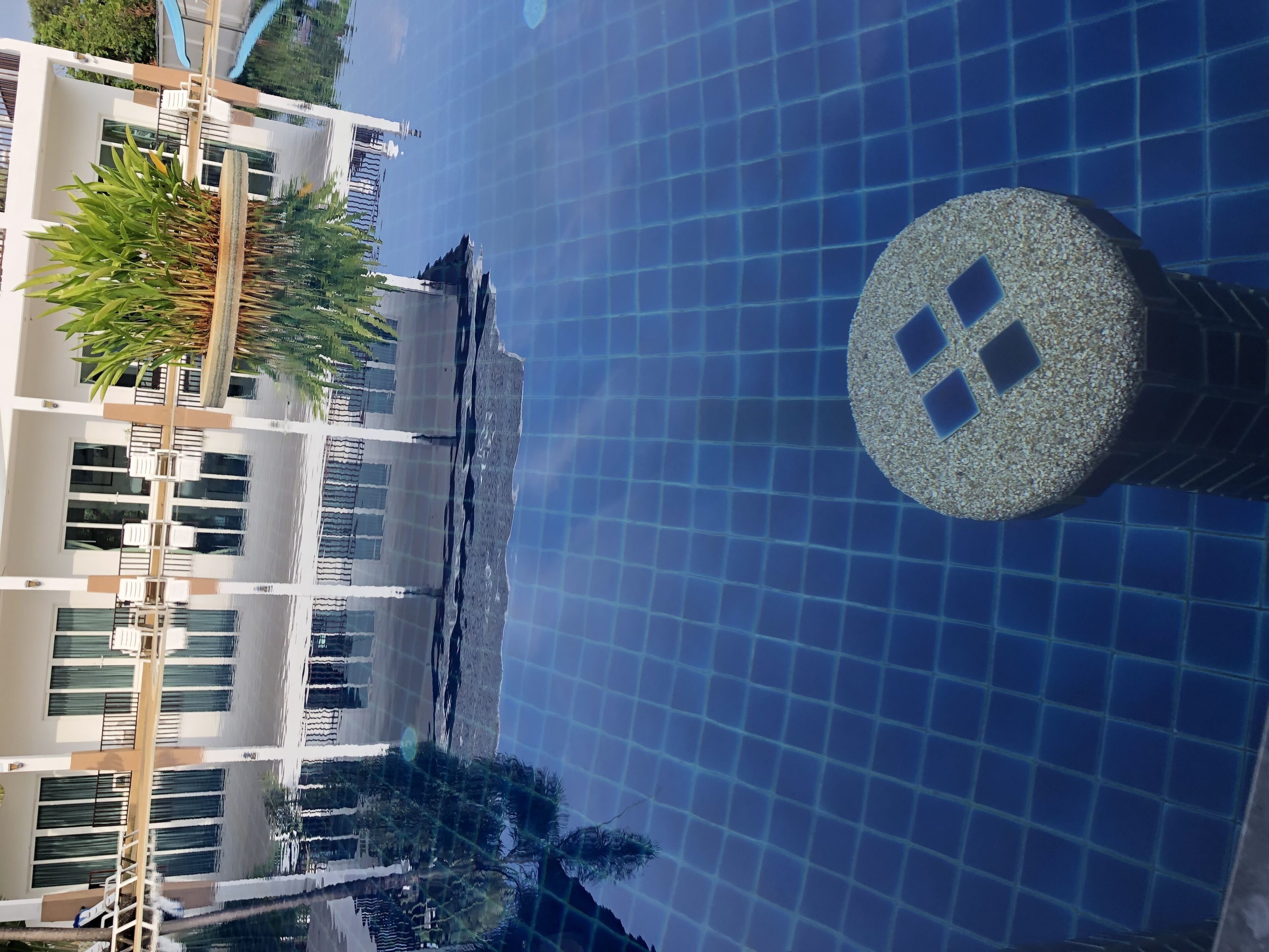 outdoor pool, pool umbrellas, pool loungers