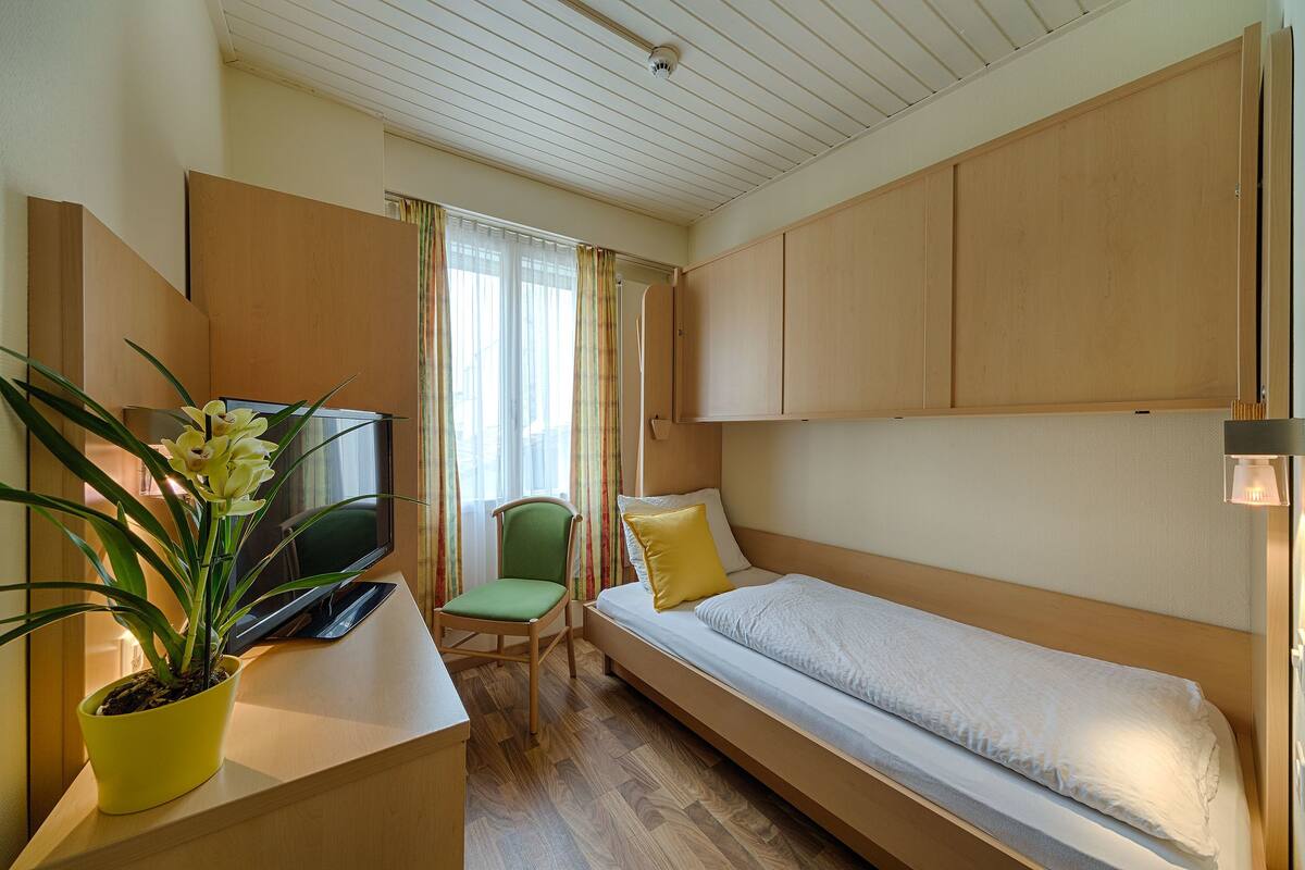 A compact hotel room with a single bed, a desk with a television, a chair, and a potted plant.