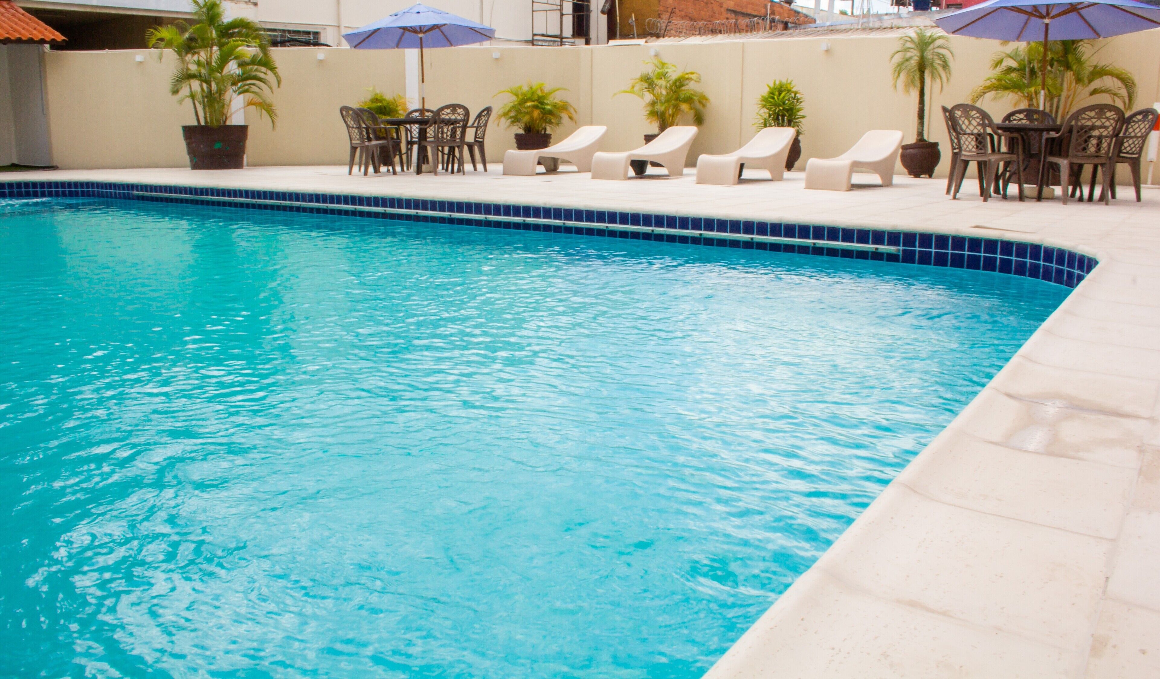 outdoor pool, pool loungers