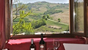 A table with a bottle of wine and a glass, a window with a view of rolling hills. - Villa Lauri (Neive)