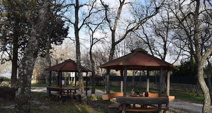 Villaggio Camping Bosco Selva