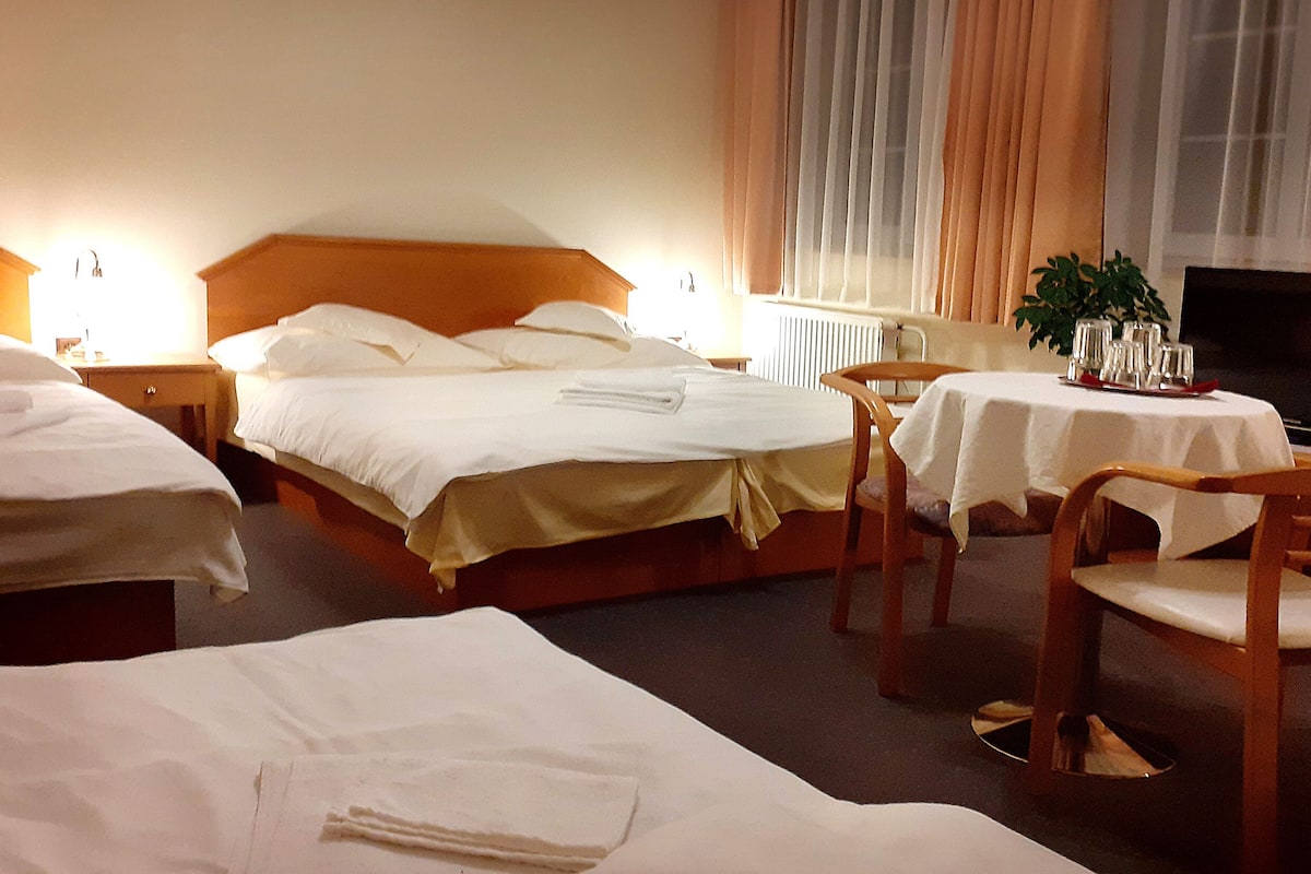 A hotel room with two beds, a TV, a dining table with chairs, and a potted plant.