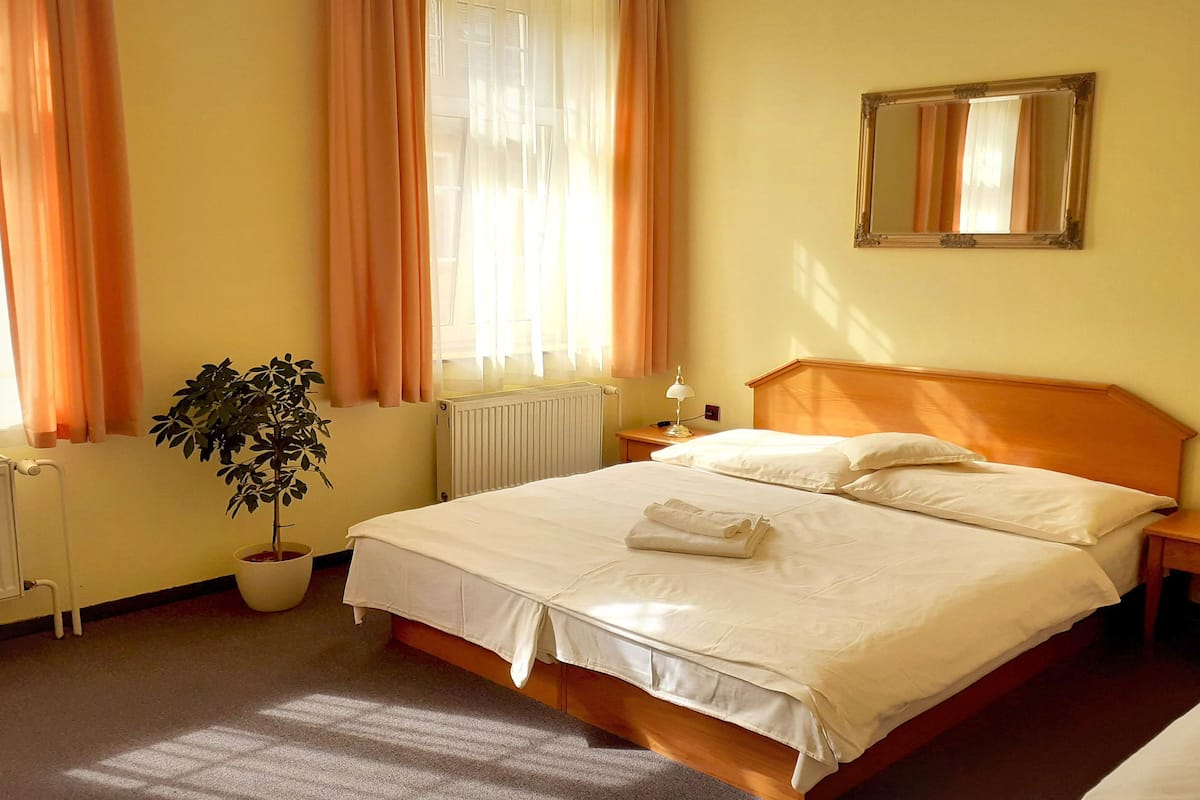 A hotel room with a bed, a nightstand, a lamp, a potted plant, and a window with curtains.