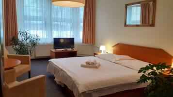 Double Room | Desk, blackout curtains, iron/ironing board, cots/infant beds