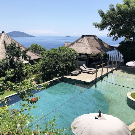 Outdoor pool, sun loungers