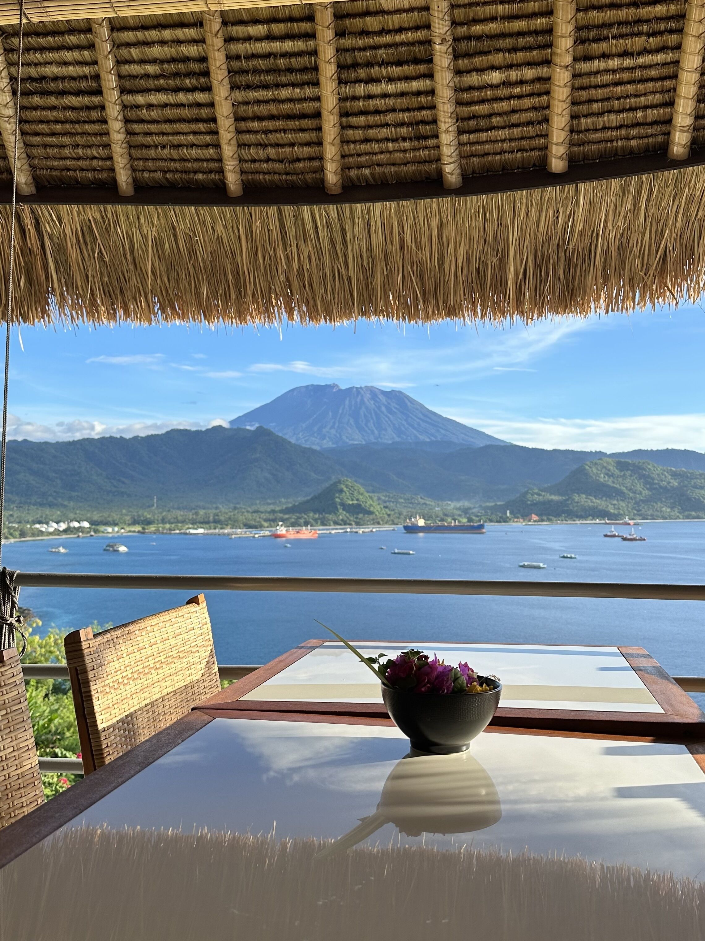 A table with a bowl of flowers and a view of a mountain and the sea.