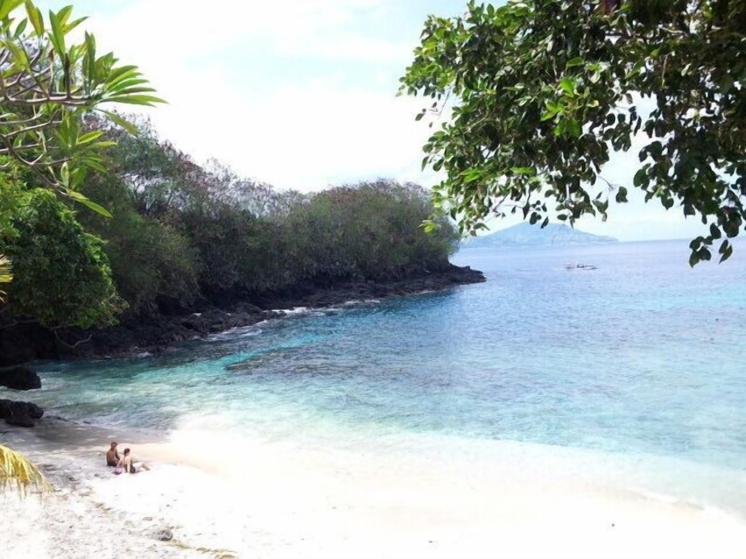A beach with clear turquoise water, a sandy shore, and dense greenery.