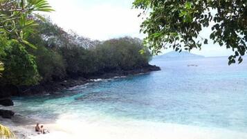 A beach with clear turquoise water, a sandy shore, and dense greenery.
