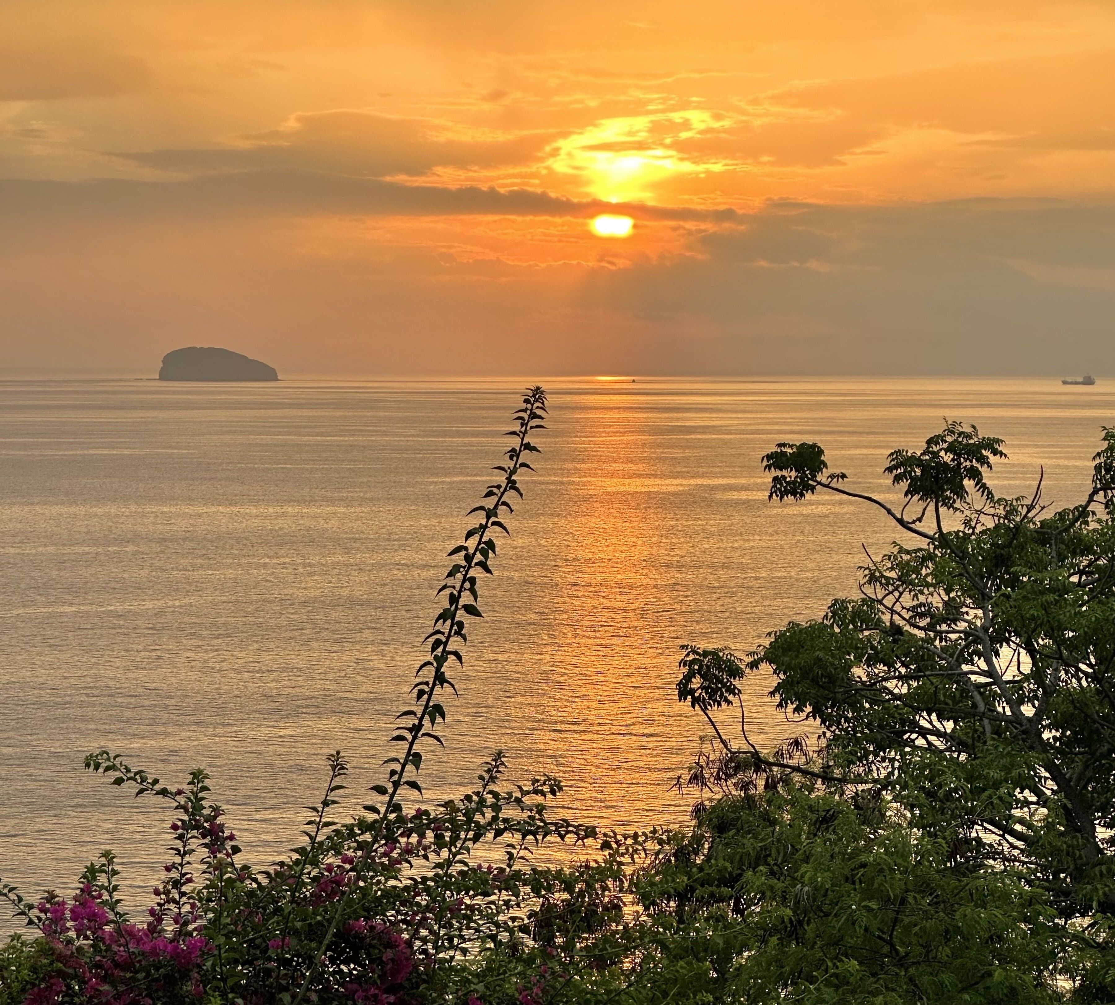 Ein Sonnenuntergang über einem ruhigen Meer mit einer fernen Insel und üppiger Vegetation im Vordergrund.