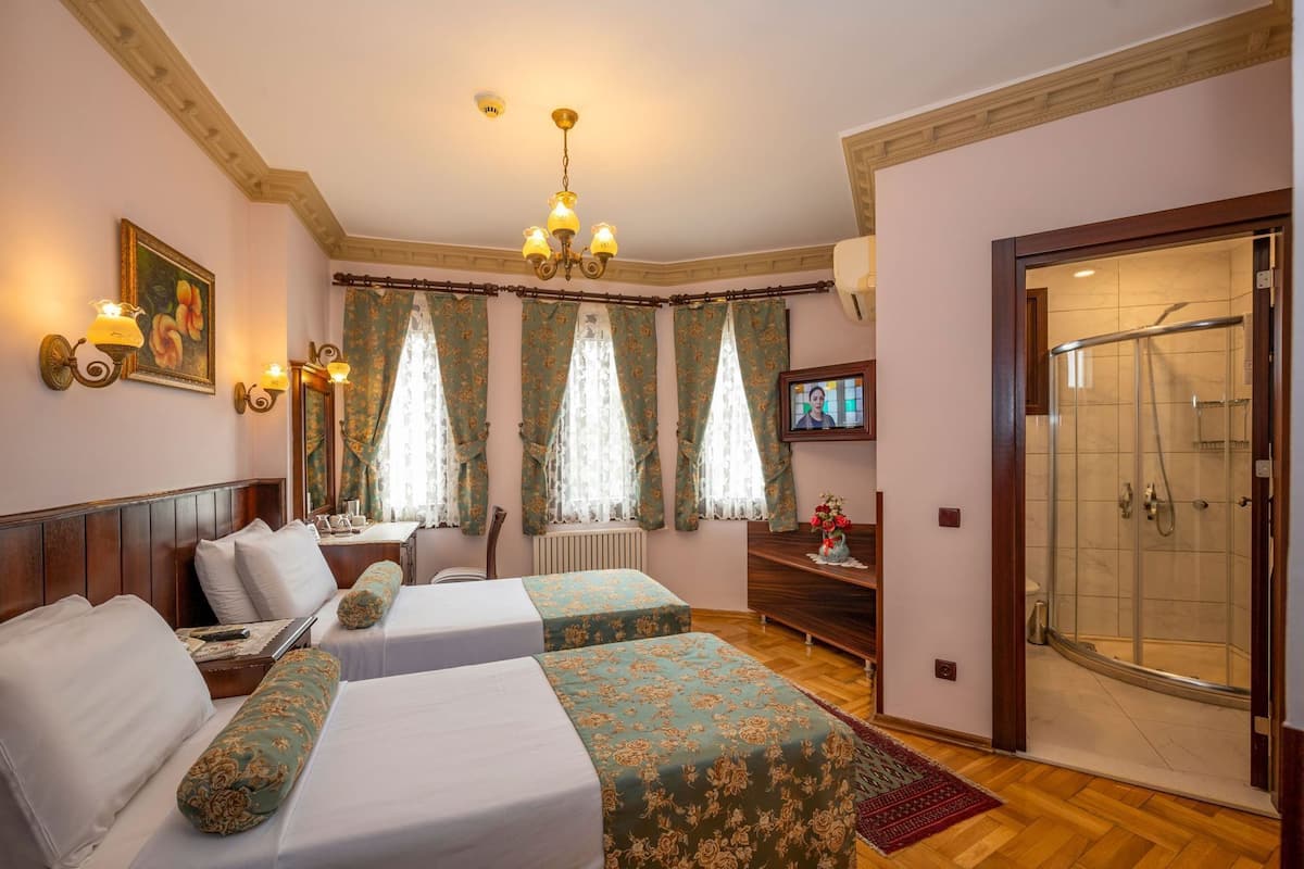 A hotel room with two beds, a desk, a chair, a TV, a shower, and a painting on the wall.