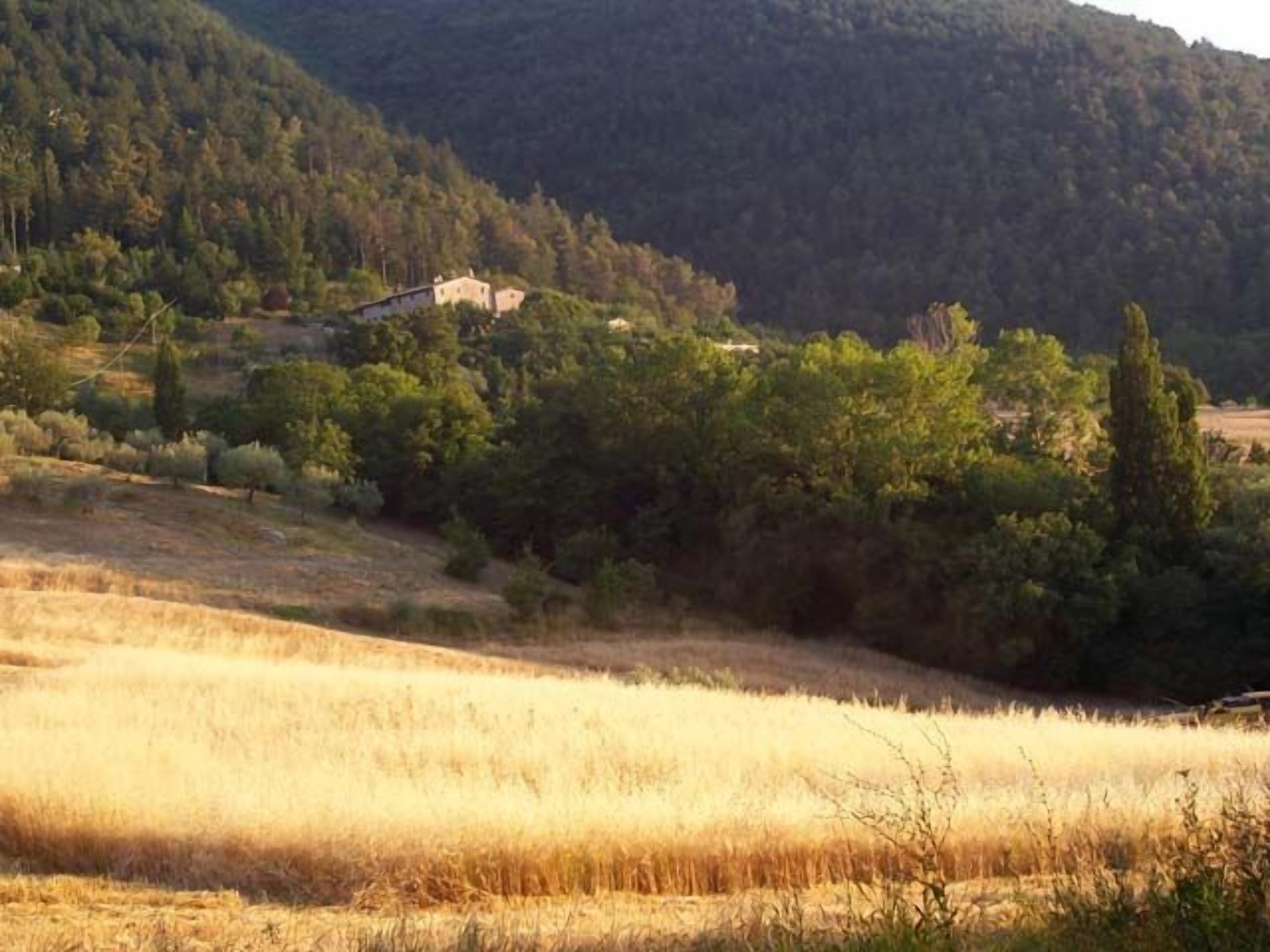 A rural landscape with a field, trees, and a building on a hill.