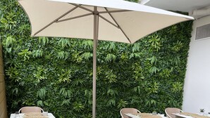 Un patio al aire libre con mesas y sillas, rodeado por un muro verde y exuberante.