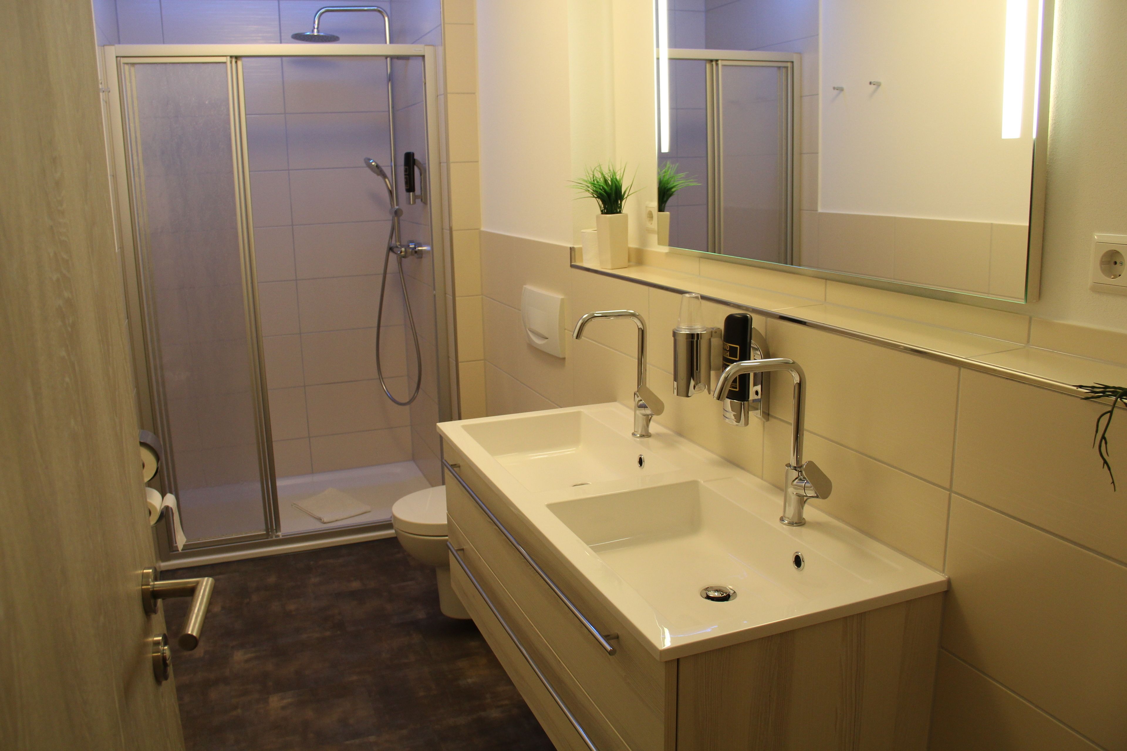 A modern bathroom with a walk-in shower, a toilet, and a sink with a mirror above it.