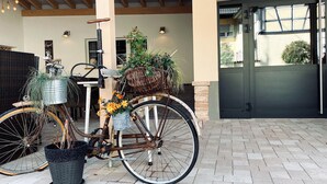 Una bicicleta con cestas y plantas en macetas estacionada frente a un edificio con una puerta oscura y una ventana.