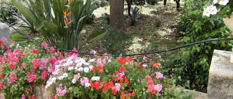 Jardin
