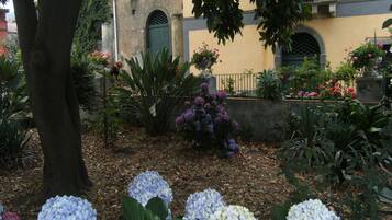 Jardin