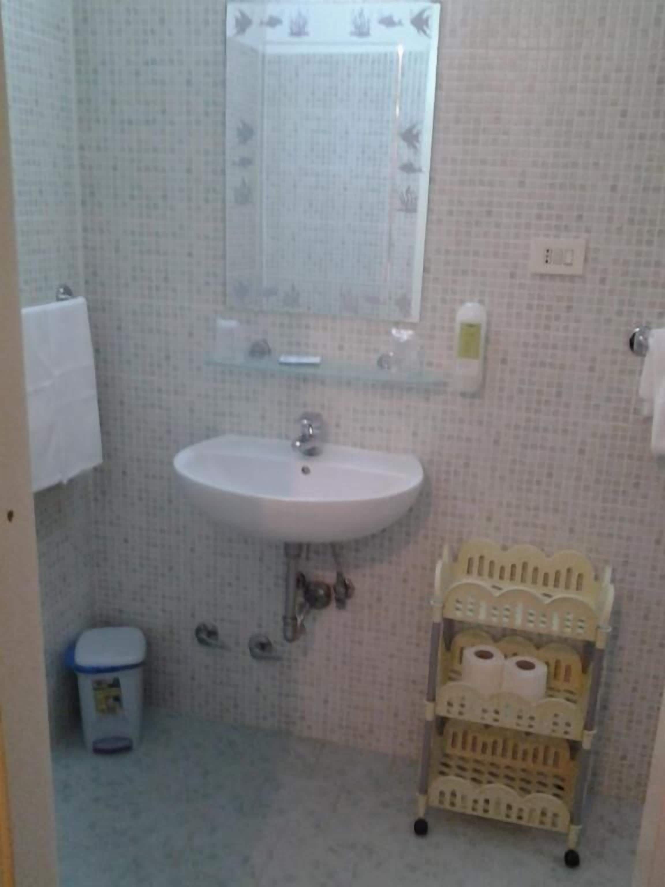A bathroom with a sink, mirror, and a toilet paper holder.