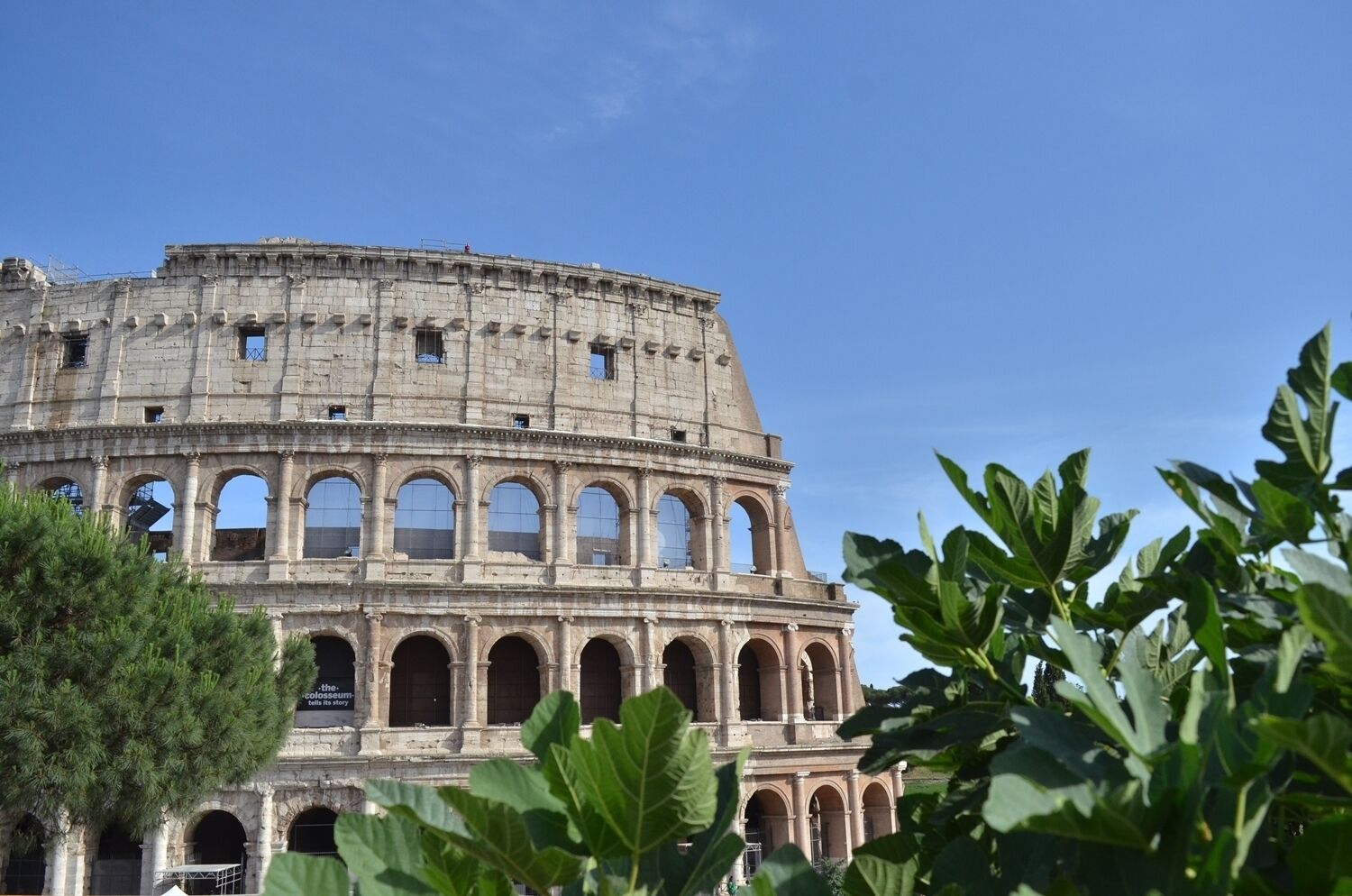 Foto - At your Place