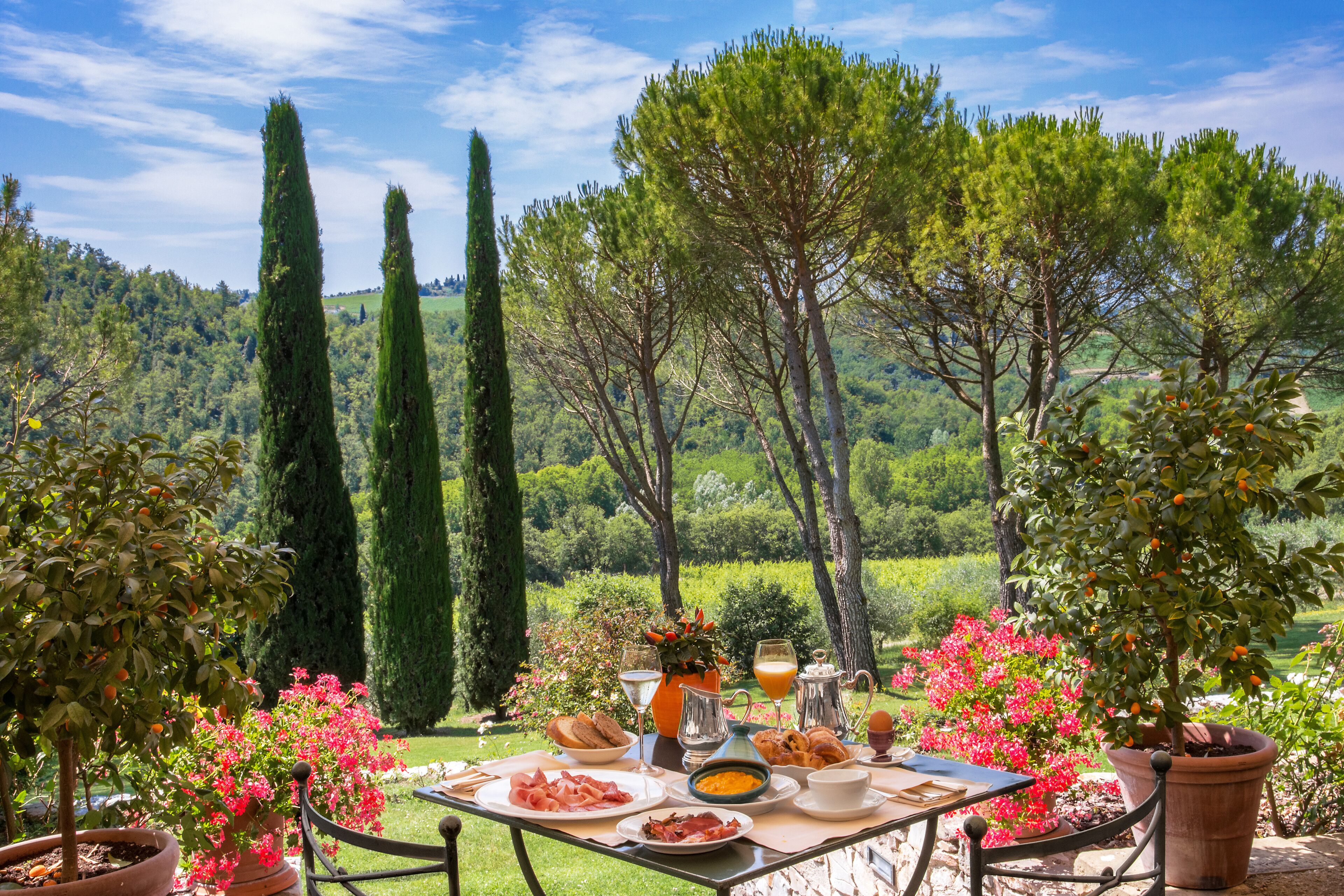Mesa de comedor al aire libre dispuesta con comida y bebidas, rodeada de macetas y árboles, con vistas a un paisaje verde de fondo.