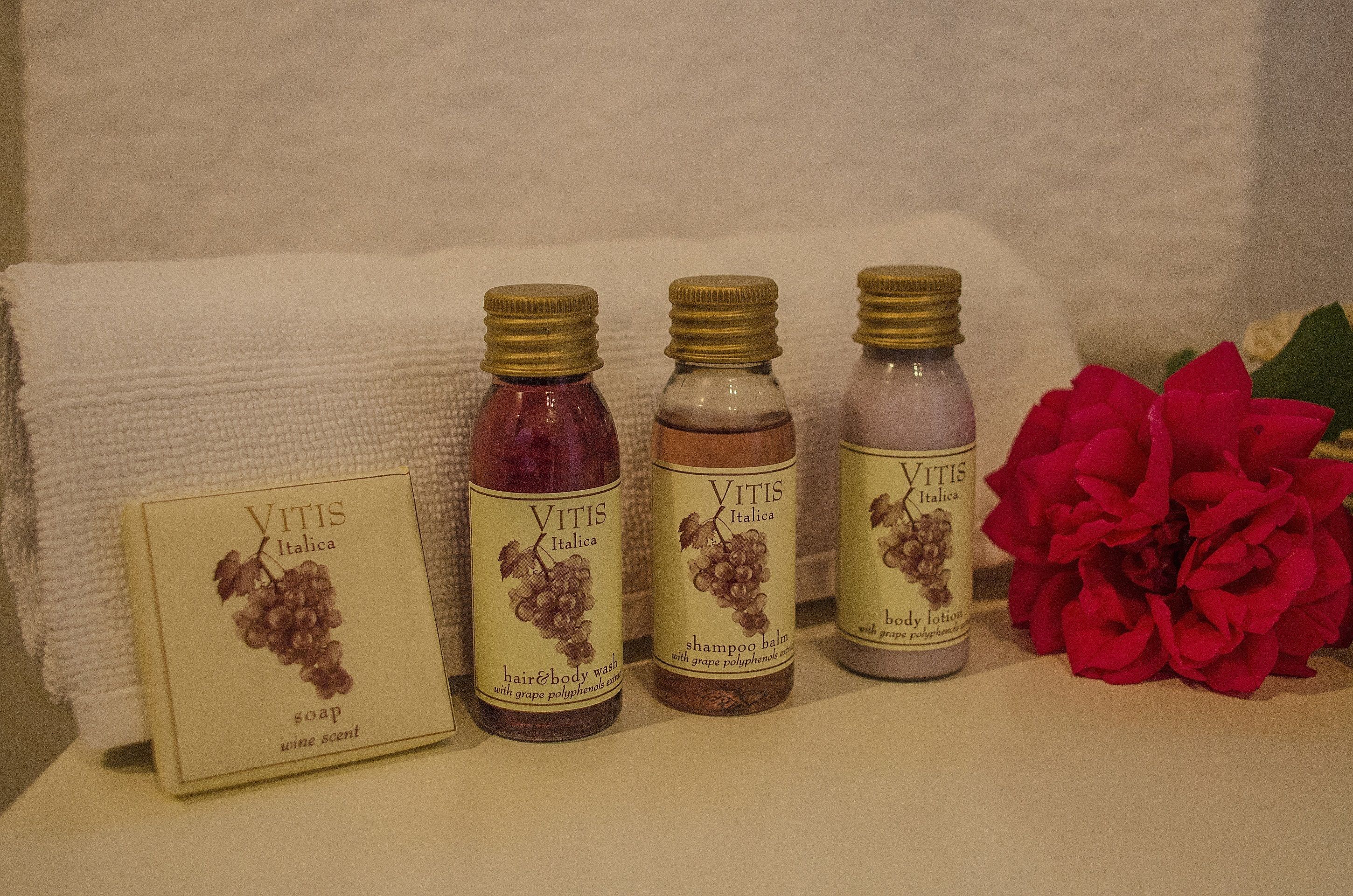 superior double room | bathroom | shower, free toiletries, hair dryer, slippers