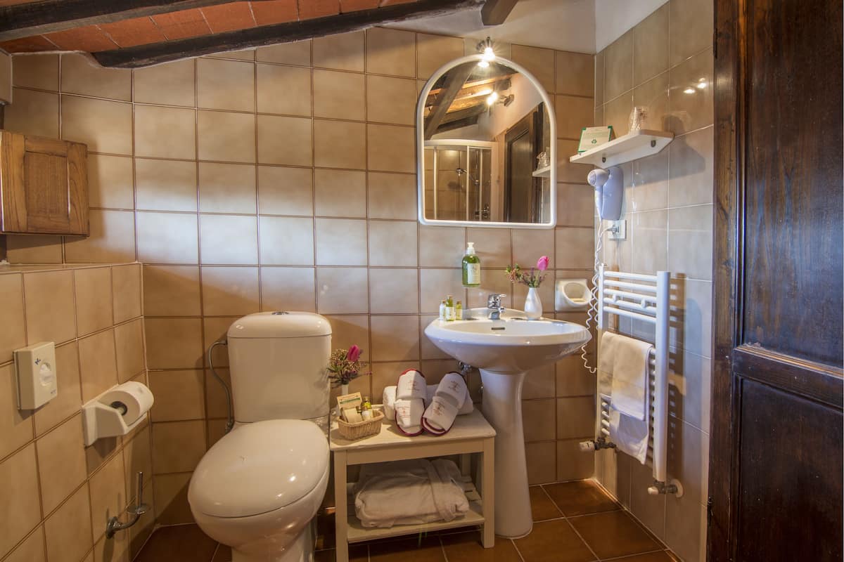 classic double room | bathroom | free toiletries, hair dryer, towels