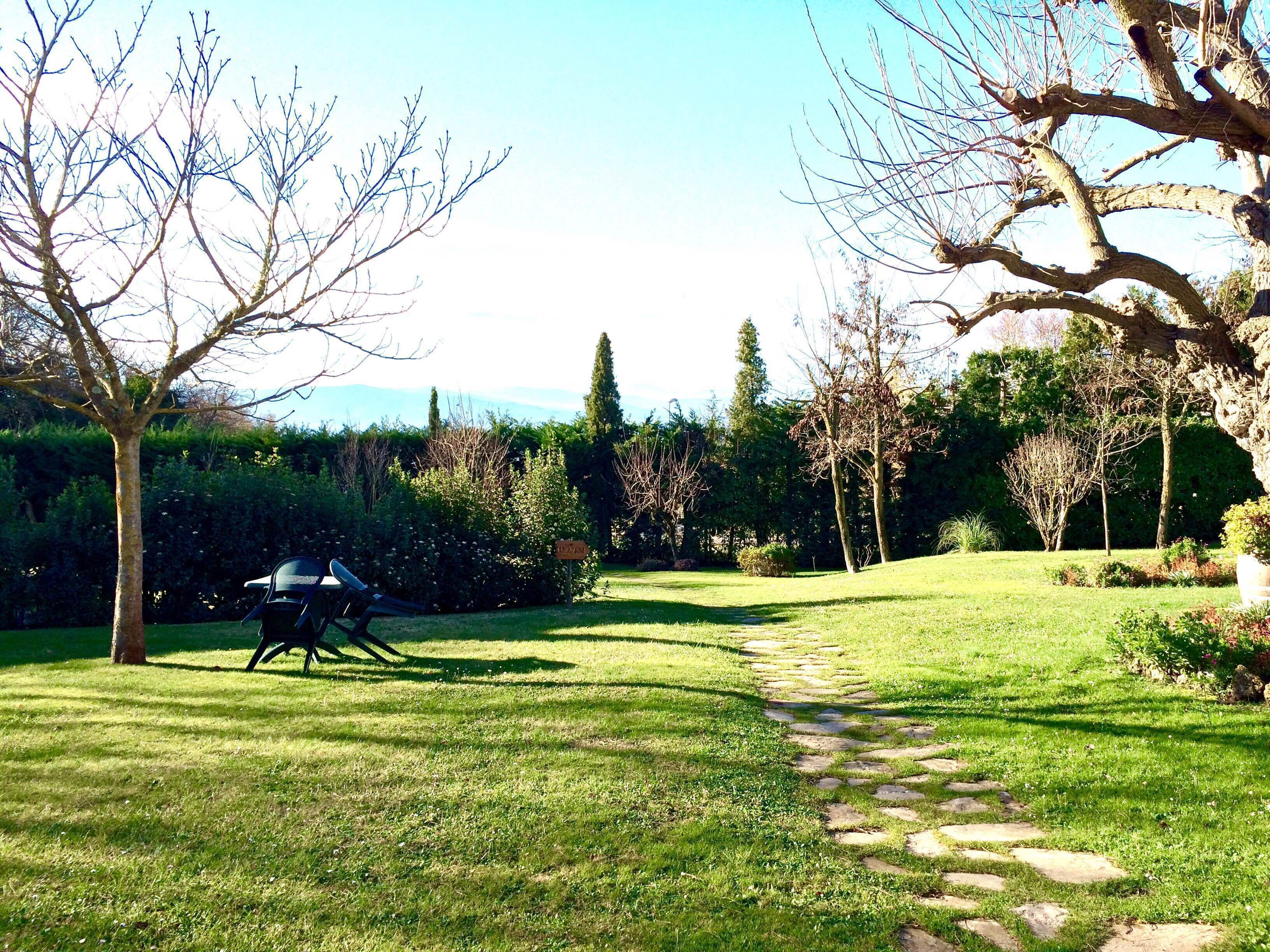 Un jardin bien entretenu, avec un sentier en pierre qui le traverse.