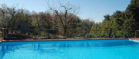 Ein klarer, blauer Pool, umgeben von einer Steinmauer und Bäumen.