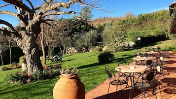 Terraza o patio