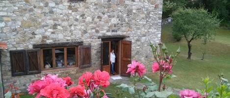 A stone building with a wooden door and windows, surrounded by greenery and pink flowers.