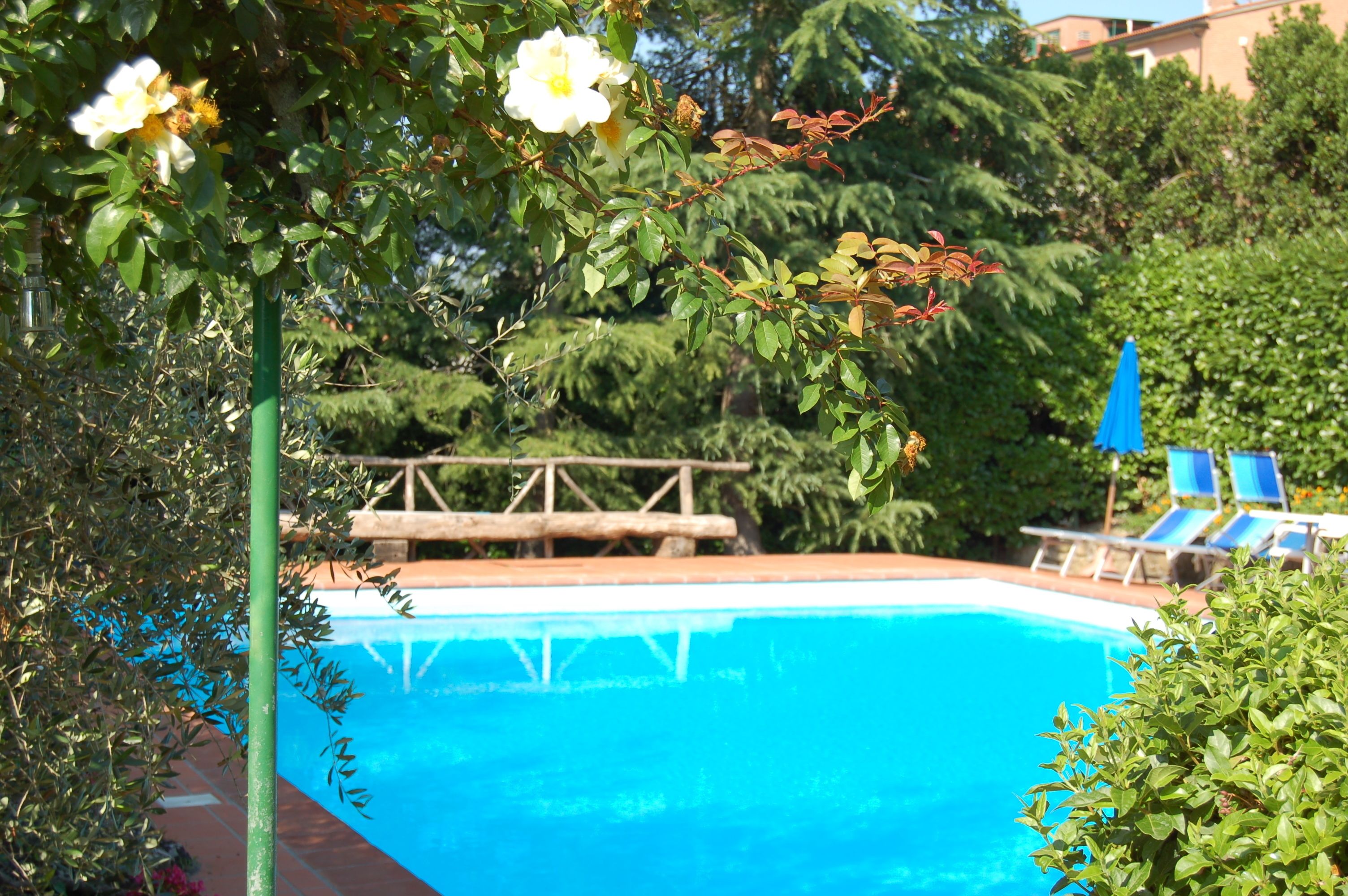 outdoor pool, open 8:00 am to 8:00 pm, pool umbrellas, pool loungers