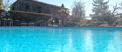 Una piscina al aire libre, sombrillas, sillones reclinables de piscina