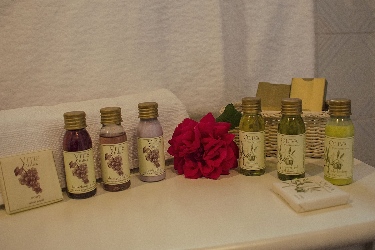 free toiletries, hair dryer, towels