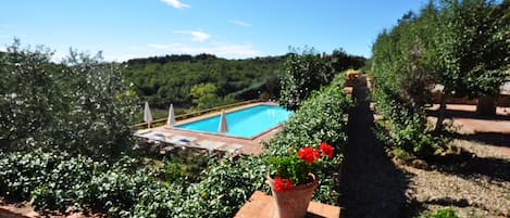 Outdoor pool, pool umbrellas, pool loungers