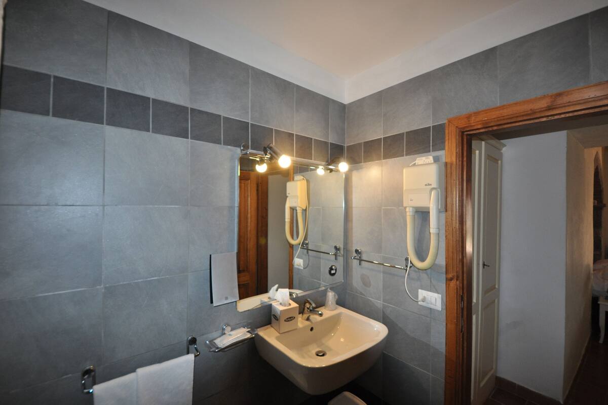 traditional double room, garden view | bathroom | combined shower/bathtub, free toiletries, hair dryer, bidet