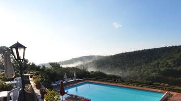 Outdoor pool, pool umbrellas, pool loungers