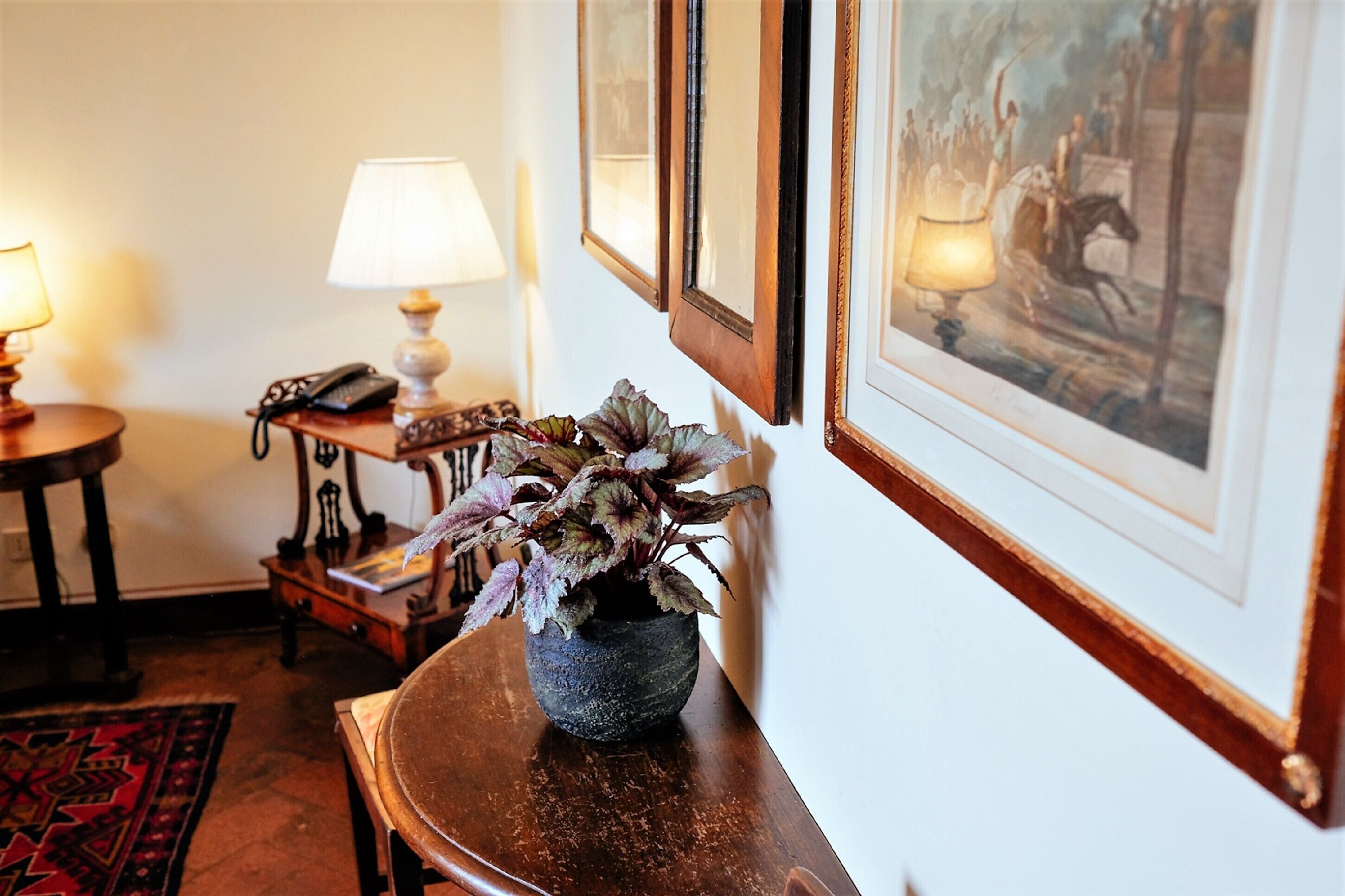 A room with a wooden side table, a potted plant, a lamp, a telephone, and framed artwork on the wall.