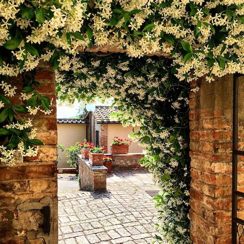 Hotel Santa Caterina