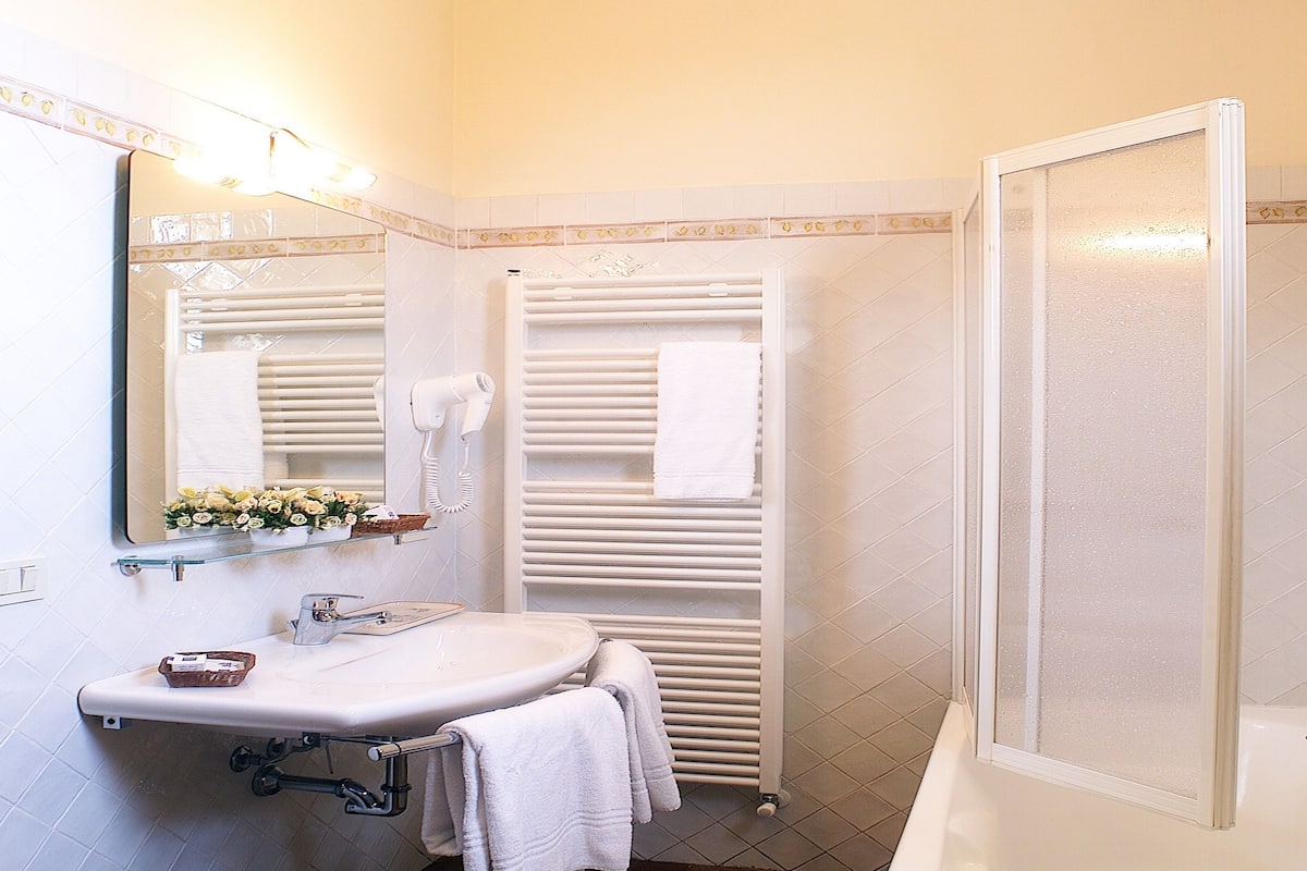 free toiletries, hair dryer, bidet, towels