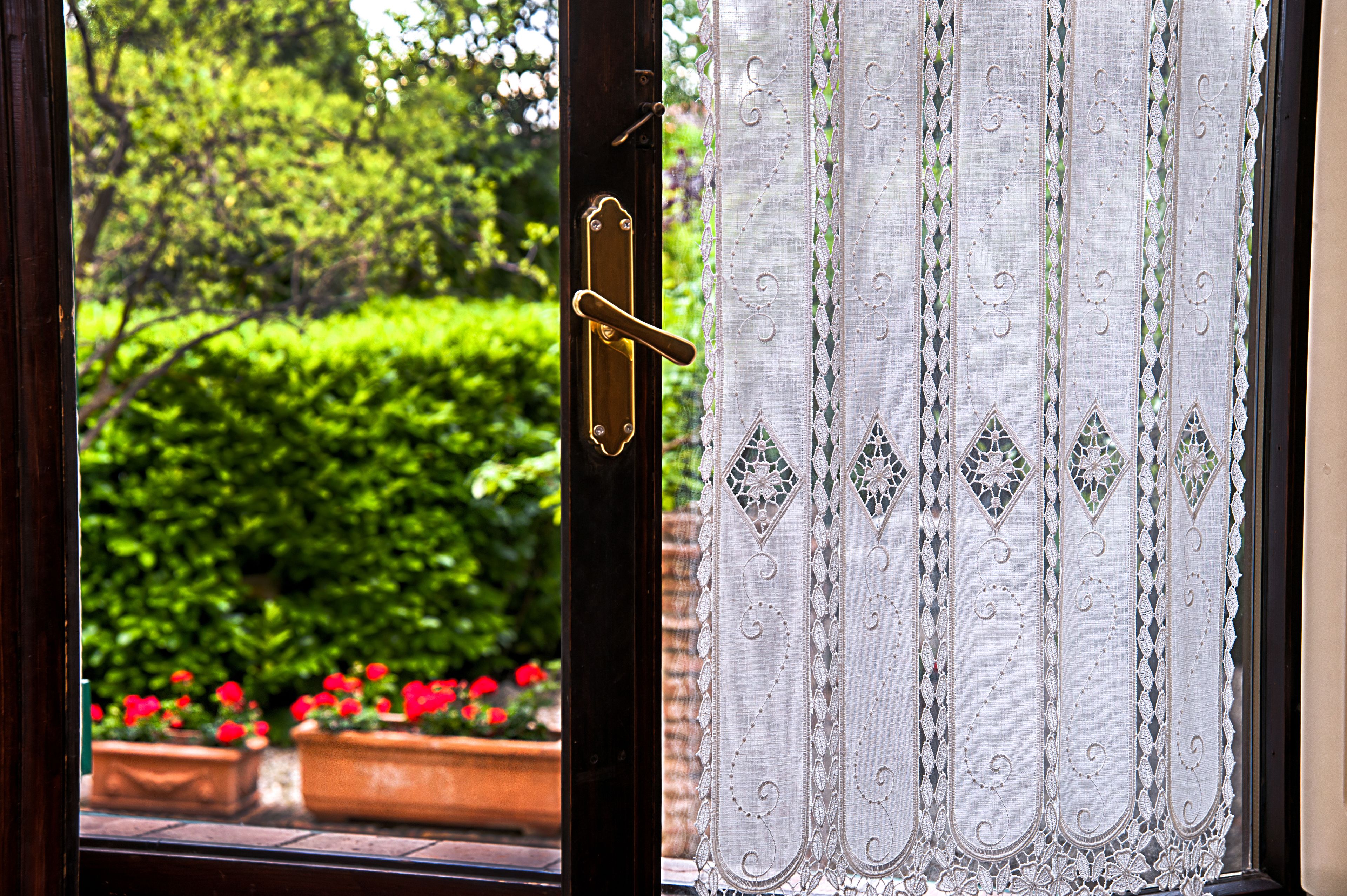 A view through a window with a lace curtain, a door handle, and a glimpse of a garden with red flowers.