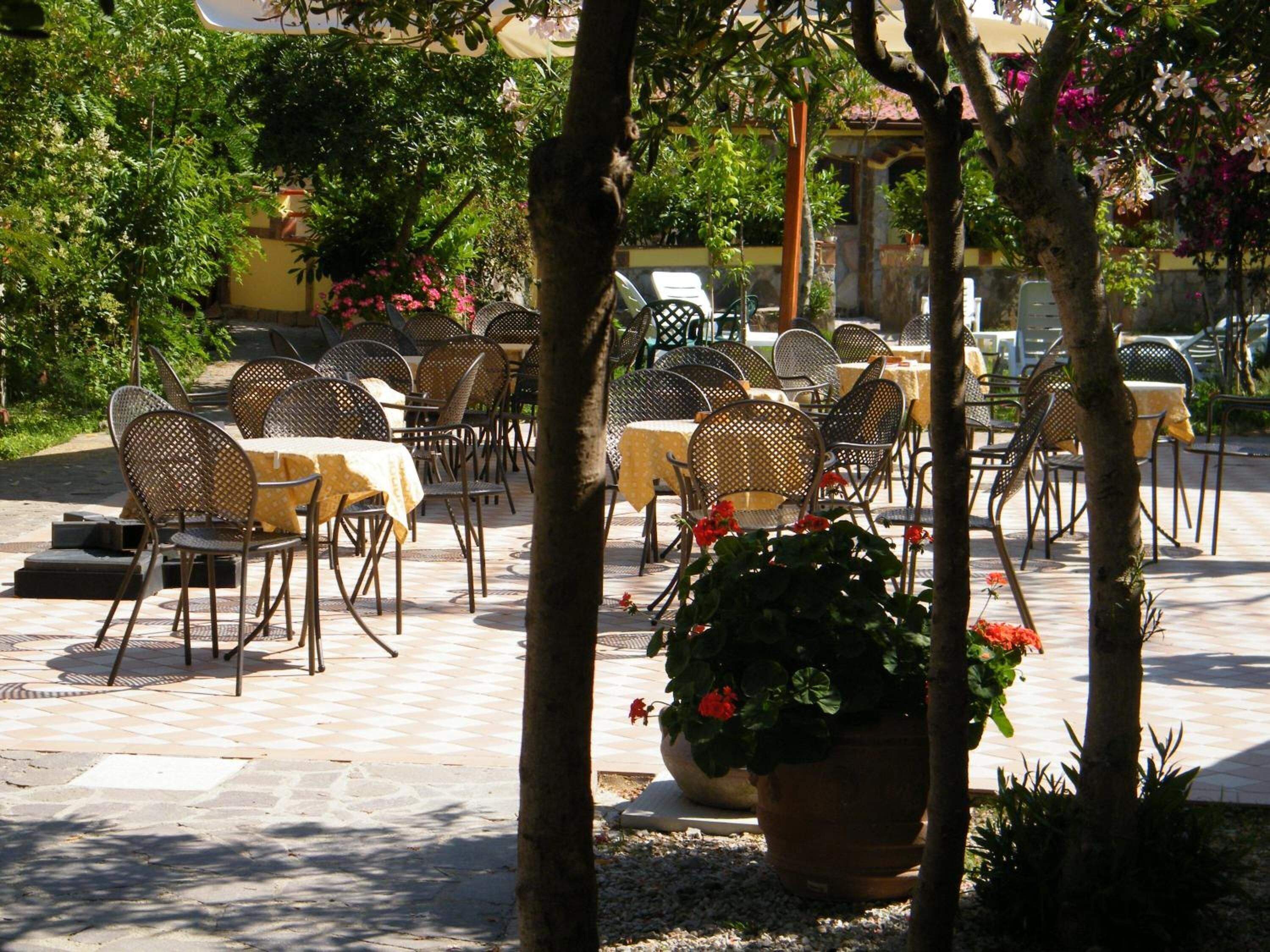 Un café al aire libre con mesas y sillas dispuestas en un área pavimentada, rodeado de árboles y plantas en macetas.