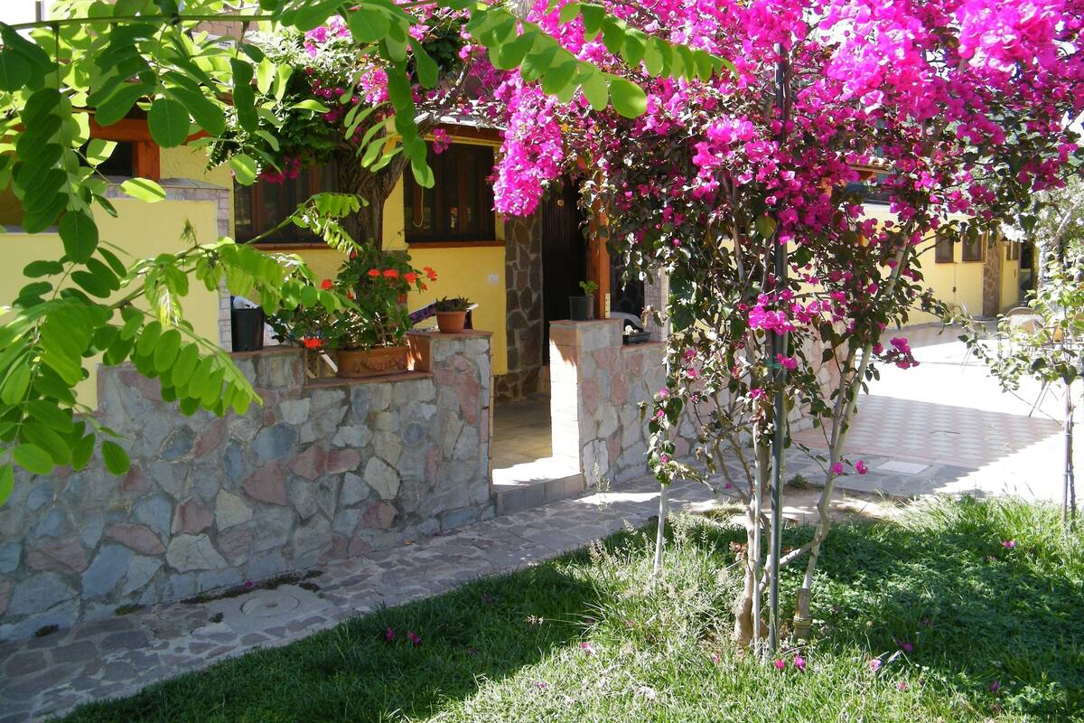 A stone wall with potted plants and a vibrant bougainvillea tree in a courtyard.