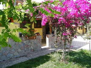 A stone wall with potted plants and a vibrant bougainvillea tree in a courtyard. - Hotel Villaggio Tabù (Centola)