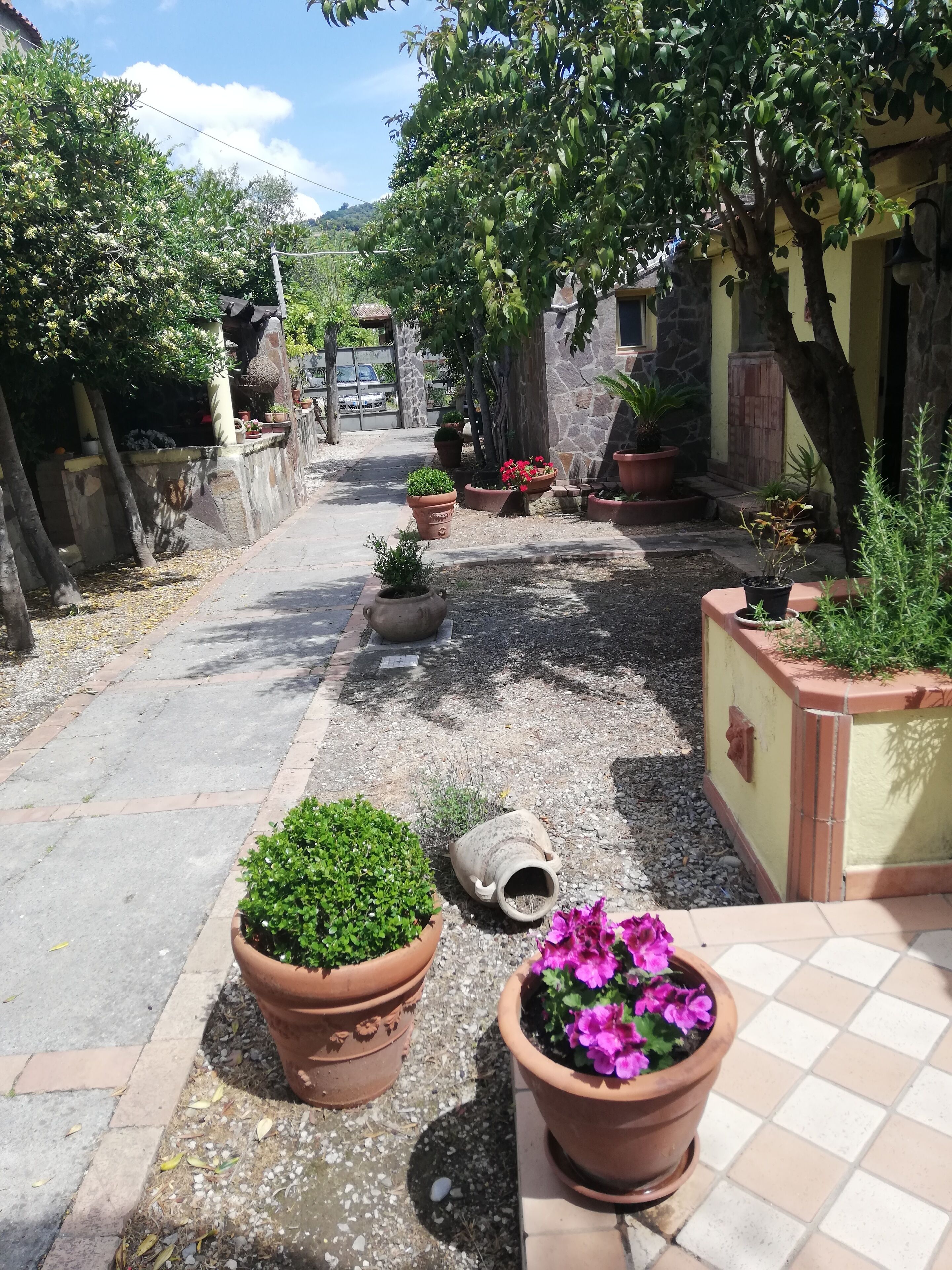 A narrow street lined with potted plants and trees, leading to a building with a stone facade.