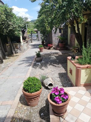 A narrow street lined with potted plants and trees, leading to a building with a stone facade. - Hotel Villaggio Tabù (Centola)