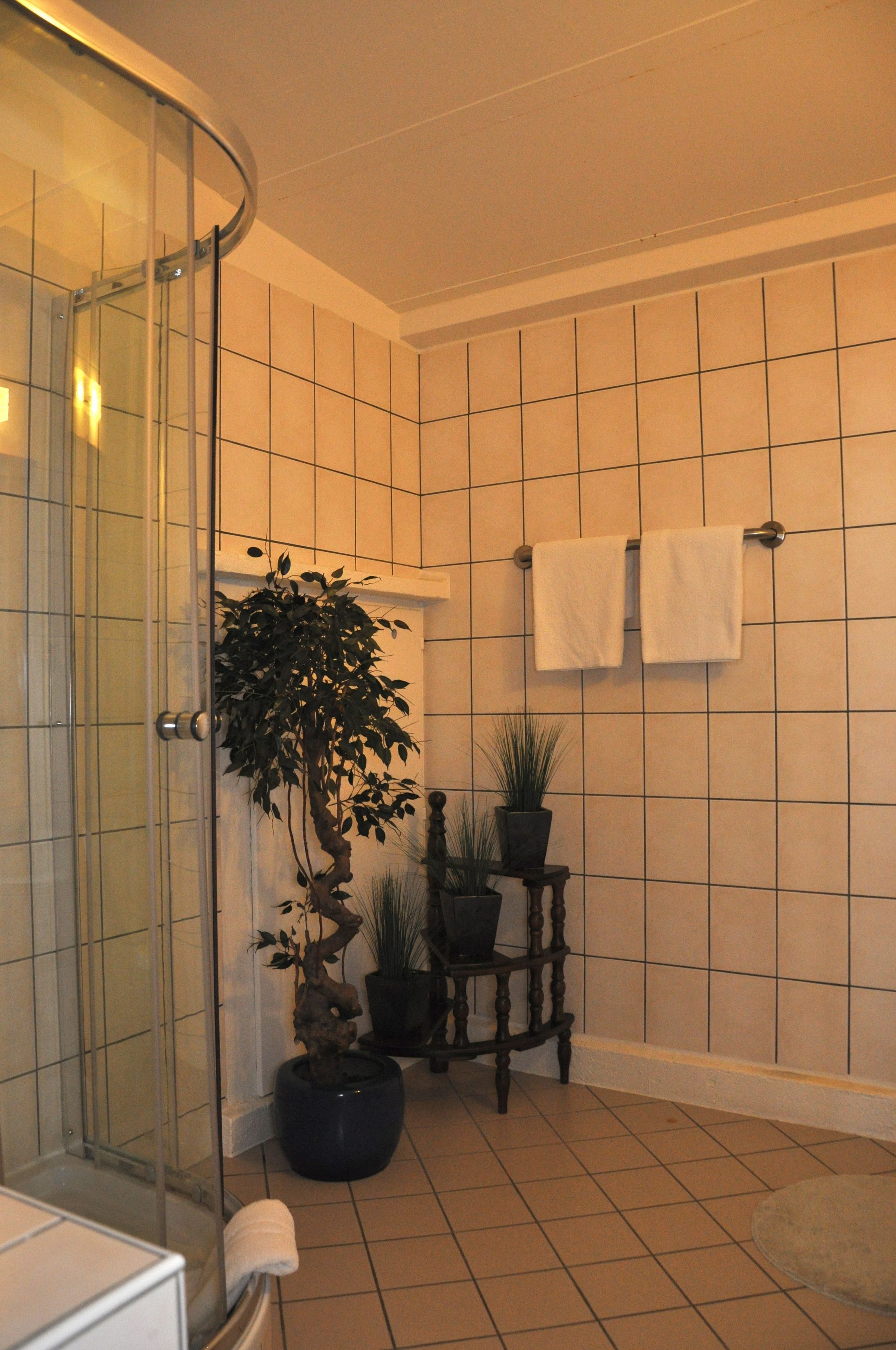 Ein Badezimmer mit Duschkabine aus Glas, gefliesten Wänden und einer Pflanzengruppe.