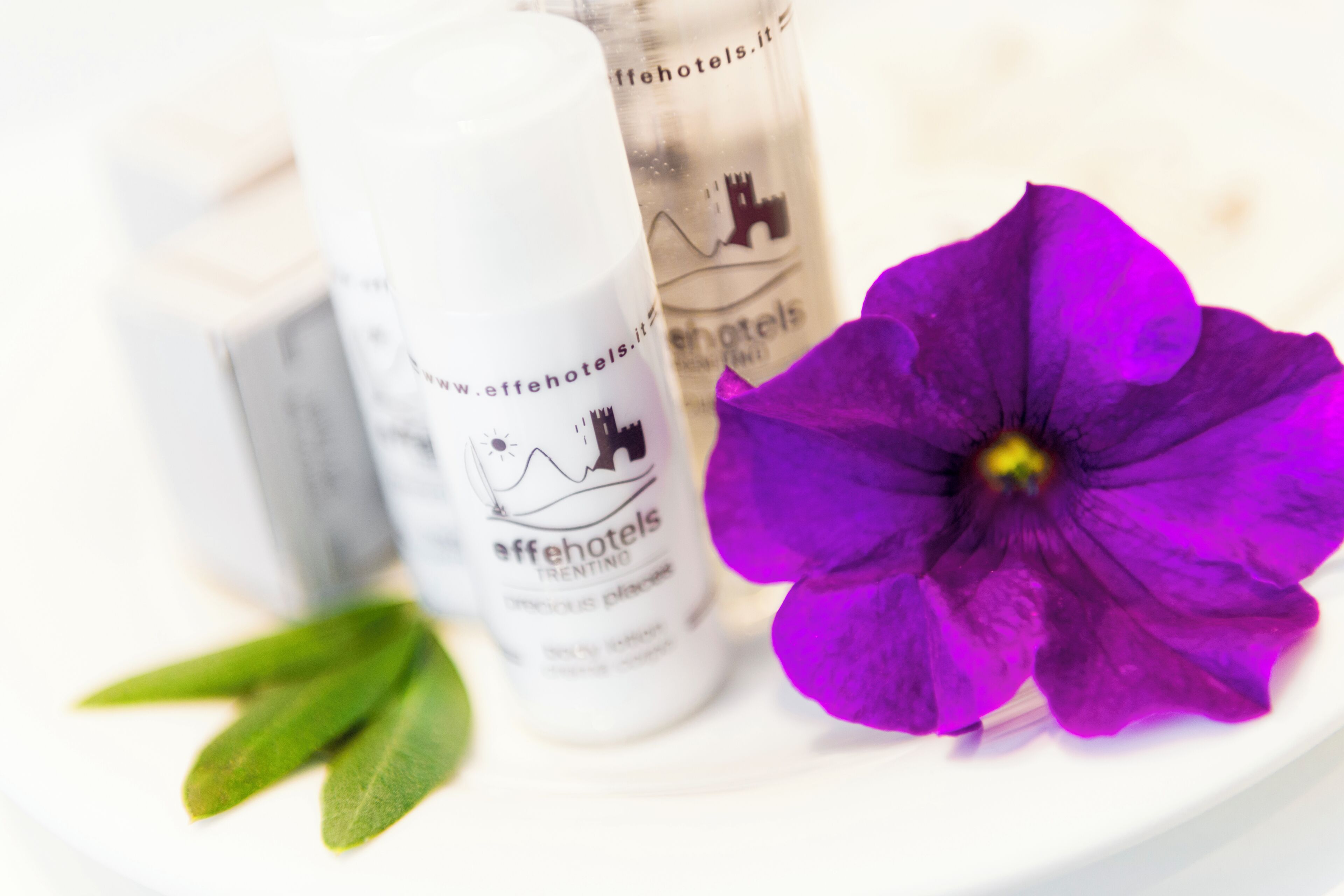 Photo - Caravel Bike Hotel